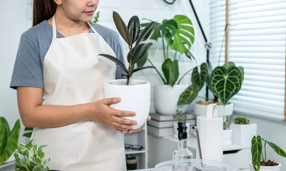 Person caring for a plant in a minimalist environment focusing on well-being