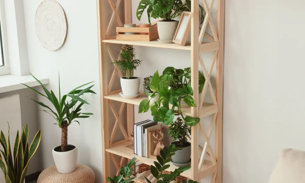 Detail of minimalist decoration with plants and natural materials on a light shelf