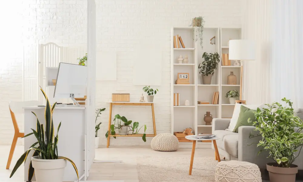 Sala decorada com plantas ideais para ambientes minimalistas e compactos
