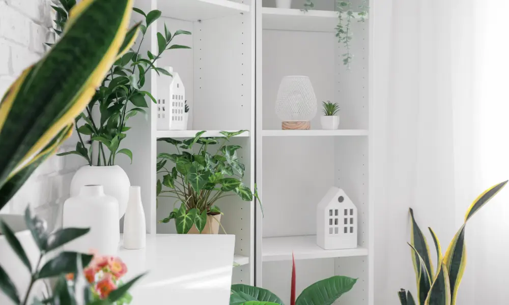 Minimalist shelf showing how to decorate with plants without visually cluttering the environment